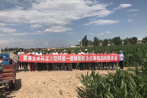 1637659586884948.jpg 2.jpg