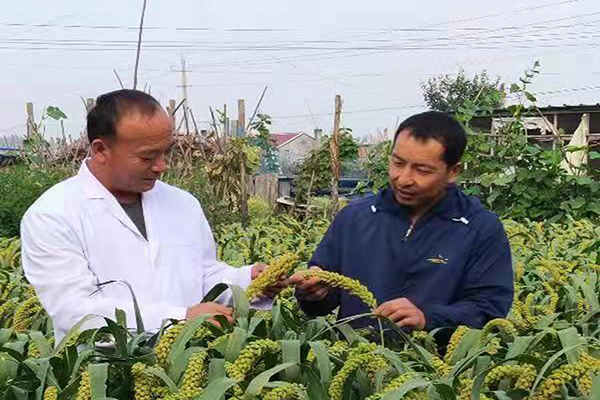 1637659602785114.jpg 3.jpg