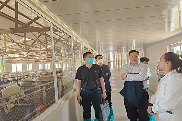 1686022524124848.jpg 1.jpg